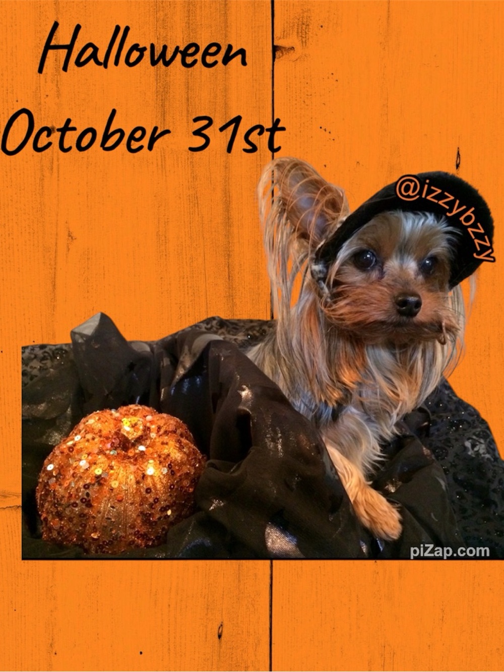 HAPPY HALLOWEEN 🎃 👻 🎃